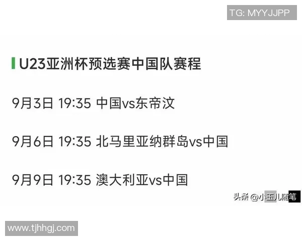 U22国家队对阵立陶宛精彩赛事回顾与分析