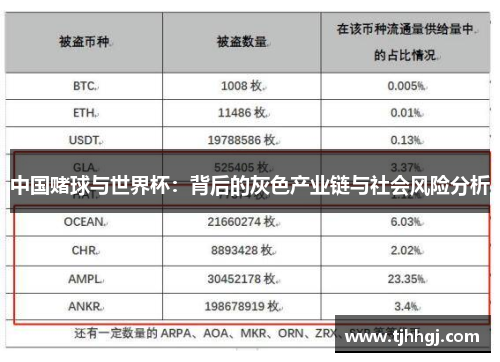 中国赌球与世界杯：背后的灰色产业链与社会风险分析