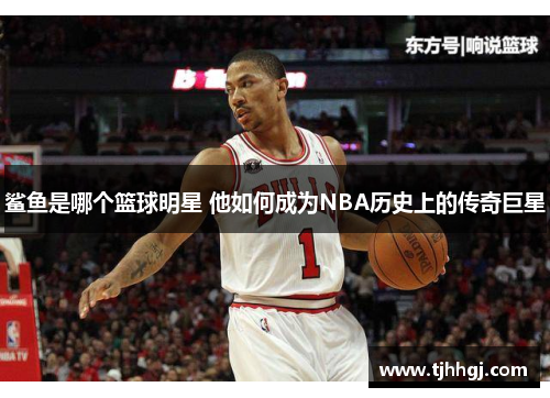鲨鱼是哪个篮球明星 他如何成为NBA历史上的传奇巨星