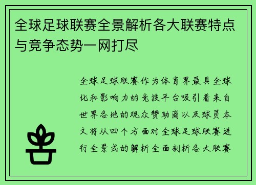 全球足球联赛全景解析各大联赛特点与竞争态势一网打尽