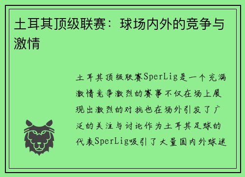 土耳其顶级联赛：球场内外的竞争与激情
