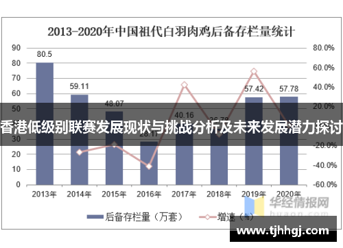 香港低级别联赛发展现状与挑战分析及未来发展潜力探讨